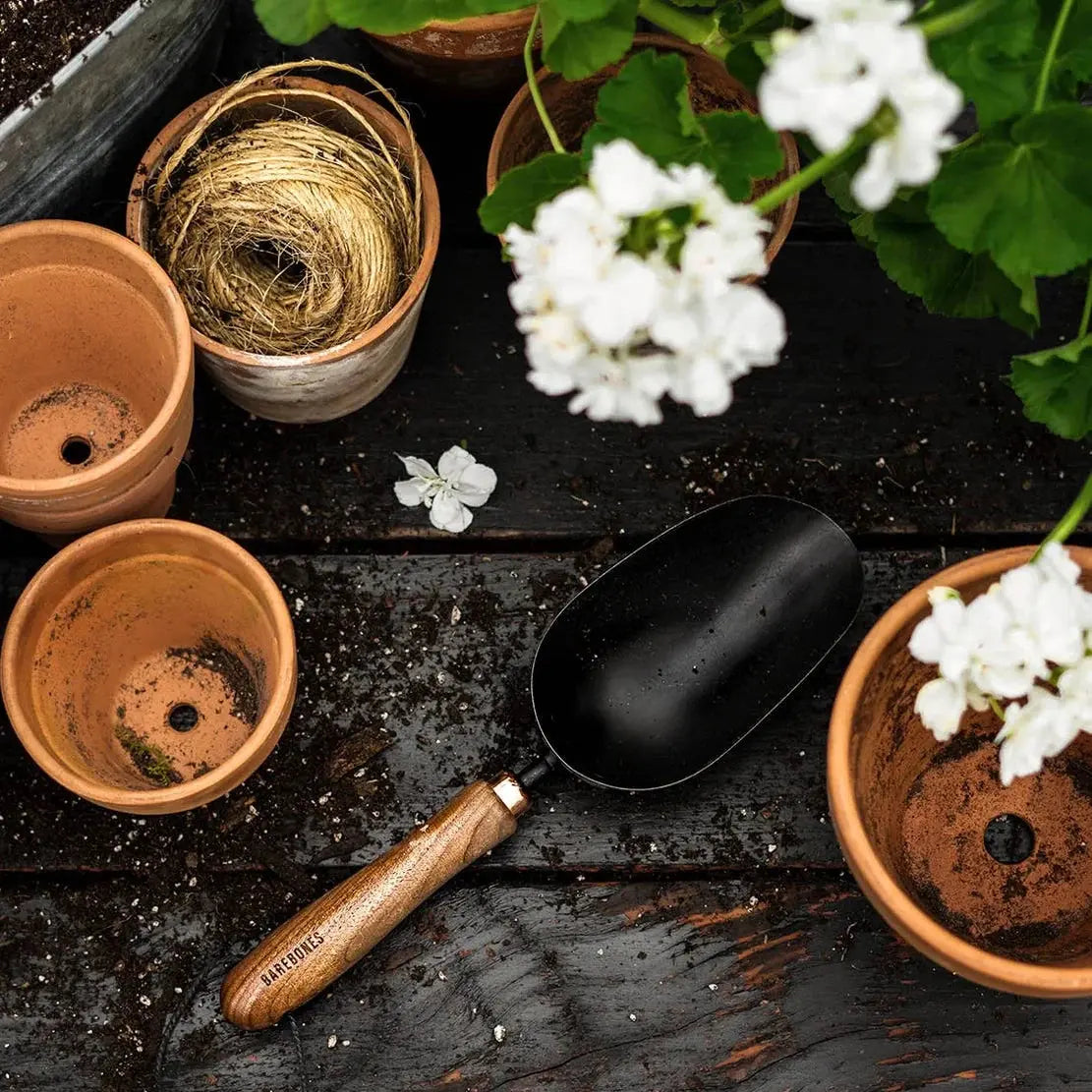 Garden > Planting & Tending