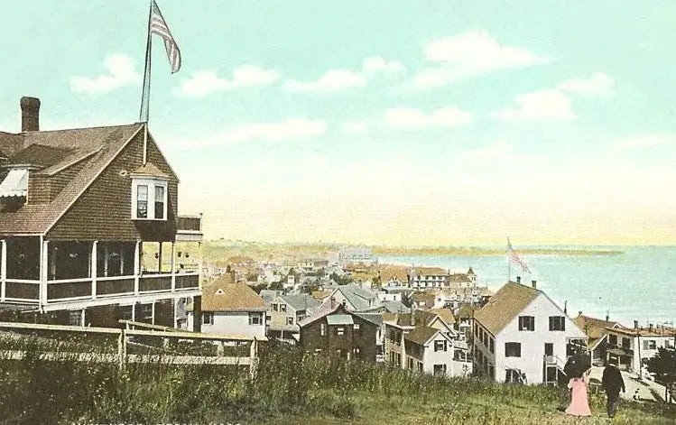 Explore All Provisions: Premium Essentials & Unique Finds