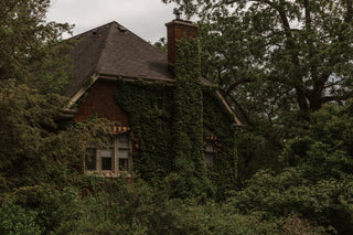 Ivy-covered house — Gothic Naturalism at Wren Supply Co.