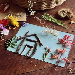 Nature Print Kit Our Earth Life
