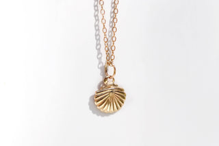Delicate Seashell Necklace | Handcrafted in Rhode Island | 14k Gold Filled
