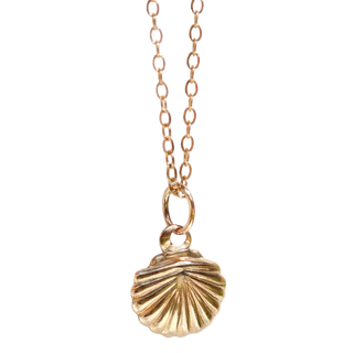Delicate Seashell Necklace | Handcrafted in Rhode Island | 14k Gold Filled