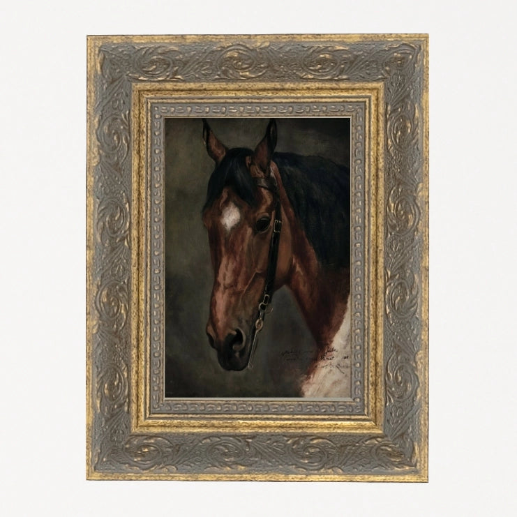 Horse Portrait Framed Canvas Artwork Petal Lane Home
