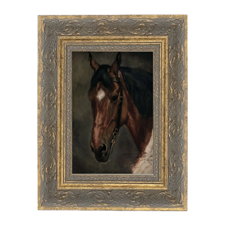 Horse Portrait Framed Canvas Art