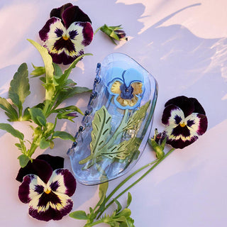 Viola Claw - Purple Pansy