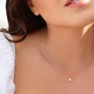 Delicate Seashell Necklace | Handcrafted in Rhode Island USA | 14k Gold Filled