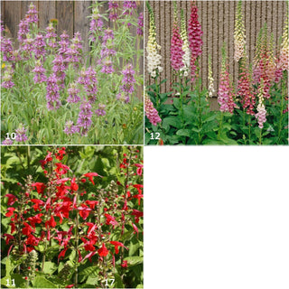 Garden Sprinkles | Hummingbird Seed Mix