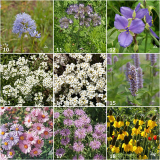 Garden Sprinkles | Honeybee Seed Mix