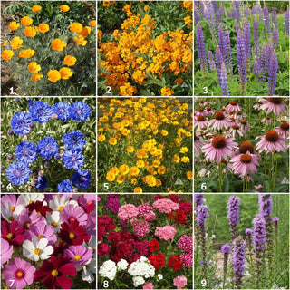 Garden Sprinkles | Butterfly Seed Mix Potting Shed Creations, Ltd.