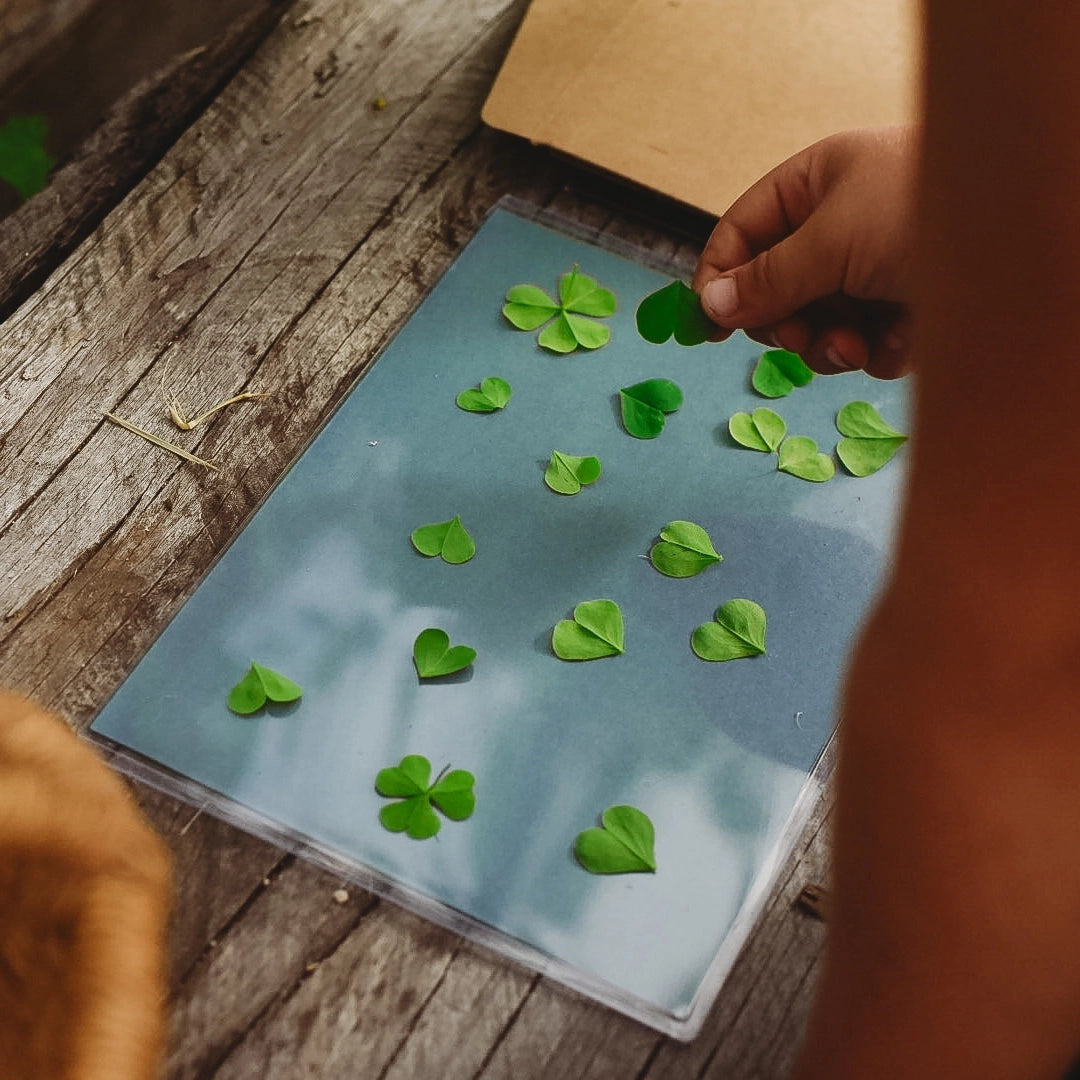 Nature Print Kit Our Earth Life