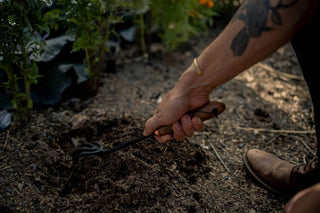 Barebones | Cultivator Barebones
