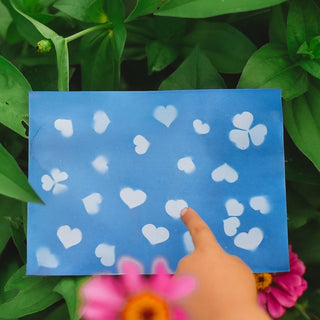 Nature Print Kit Our Earth Life