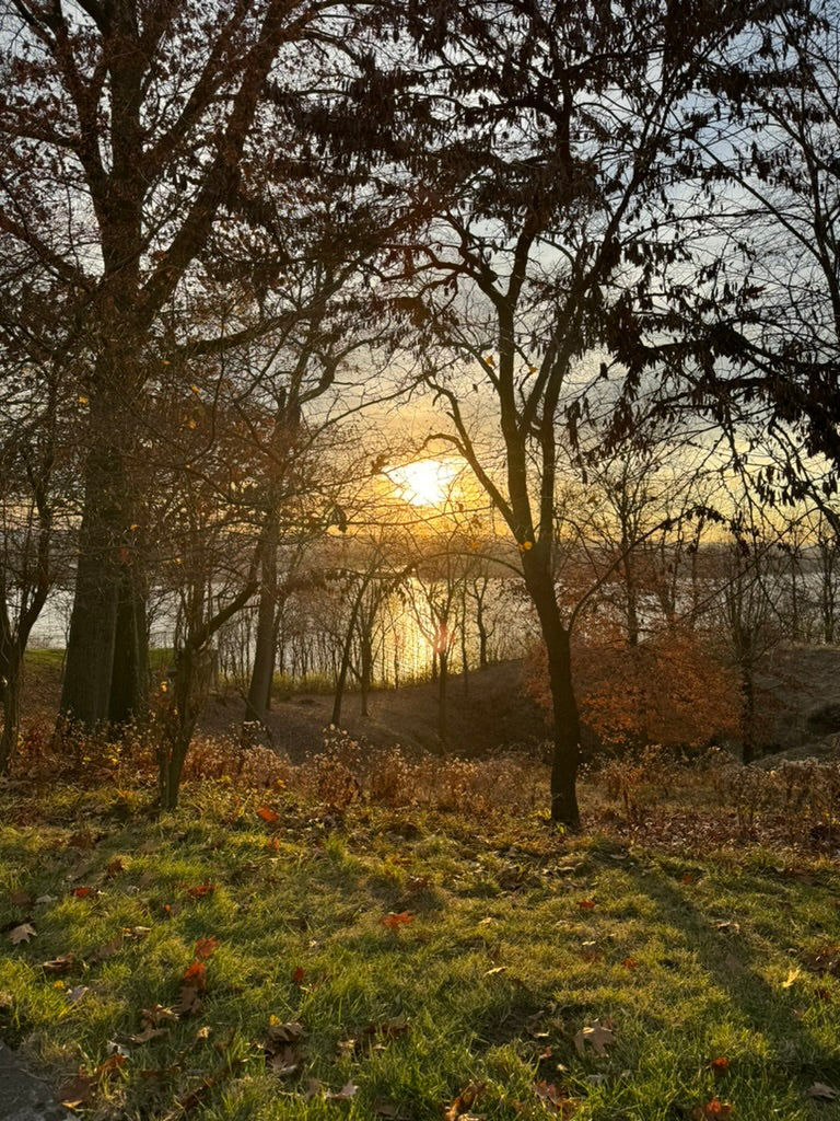 5FD0B5BE-45AA-440E-9ADE-A3308CF76E6B_1_105_c