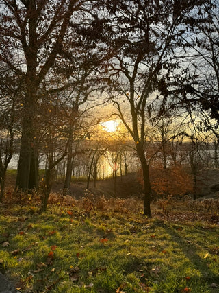 5FD0B5BE-45AA-440E-9ADE-A3308CF76E6B_1_105_c