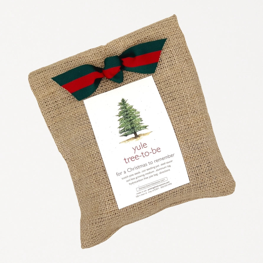 Christmas Tree to Be Potting Shed Creations, Ltd.