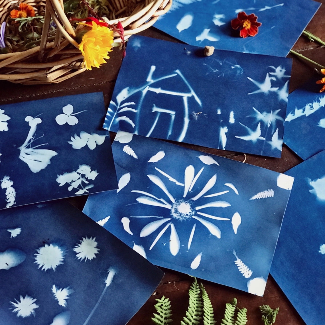 Nature Print Kit Our Earth Life