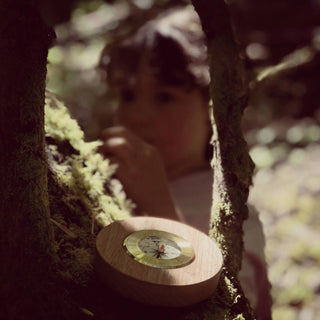 Wooden Compass
