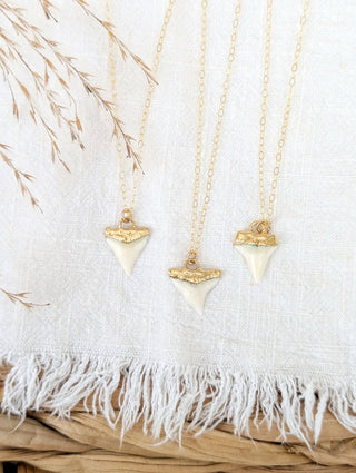 Real shark tooth pendant dipped in 14k gold on an 18-inch gold-filled chain — Wren Supply Co.