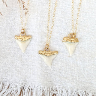 Gilded Shark Tooth Necklace
