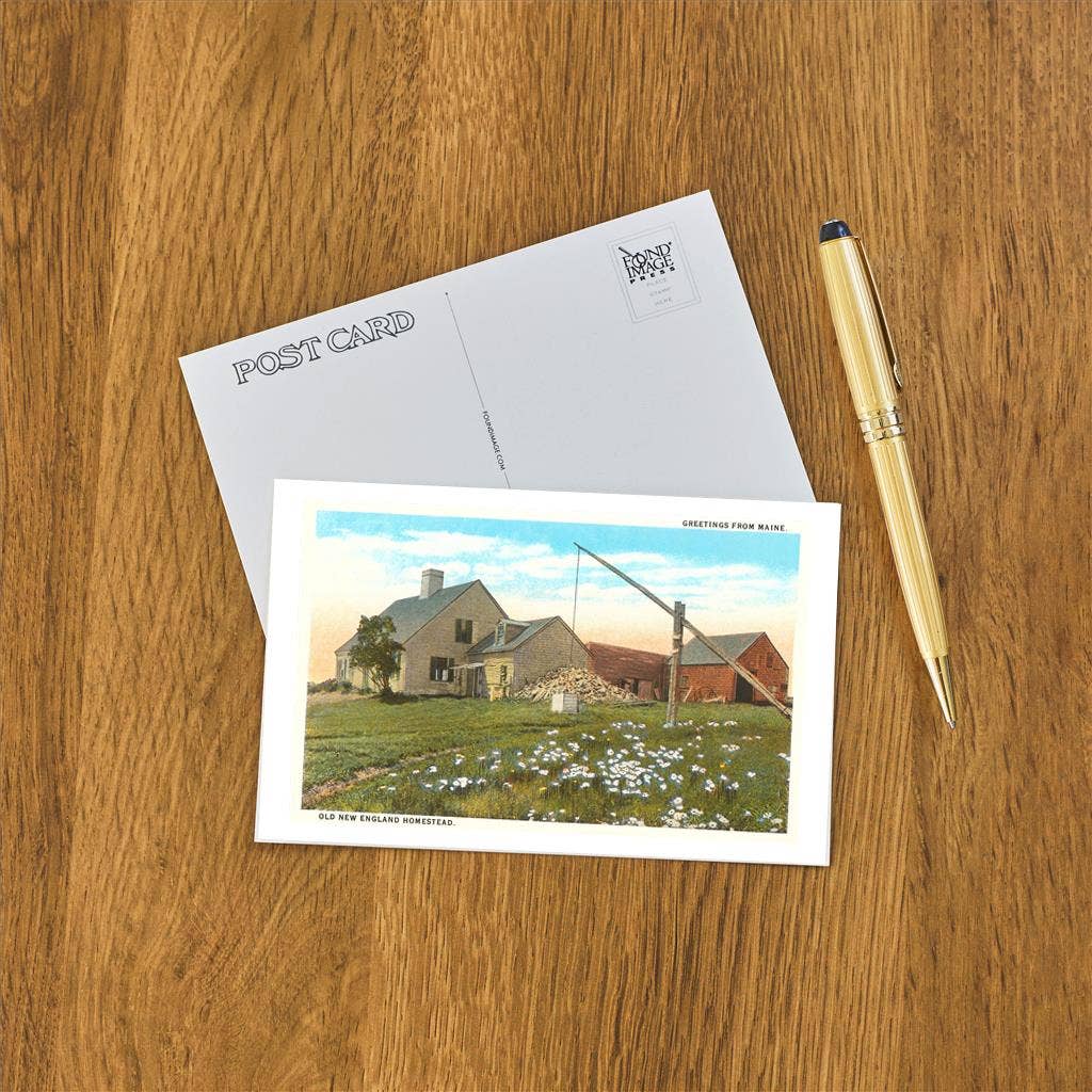 Postcard ME-193 New England Homestead Found Image Press