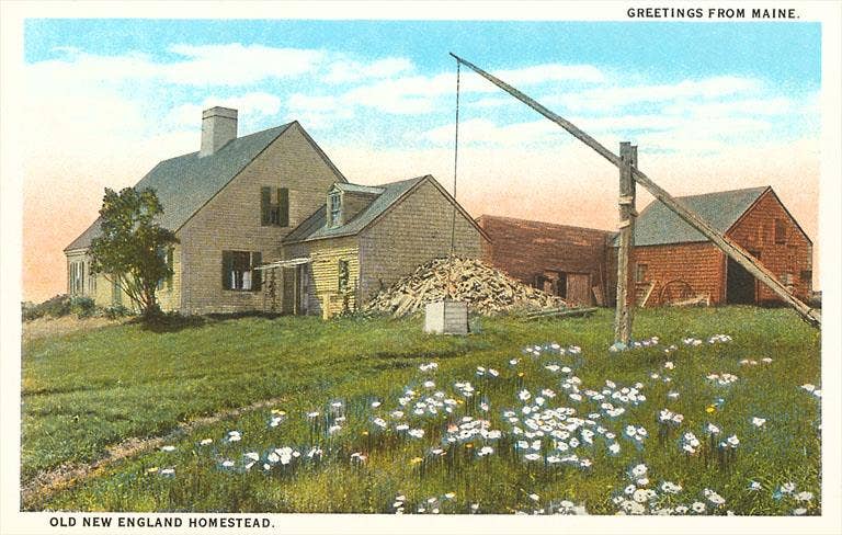 Postcard ME-193 New England Homestead Found Image Press