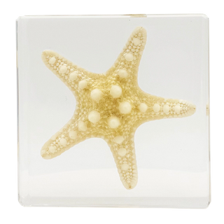 Starfish Specimen Study