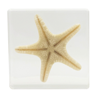 Starfish Specimen Study