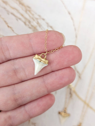 Detail view of 14k gold-dipped shark tooth necklace pendant from Wren Supply Co.