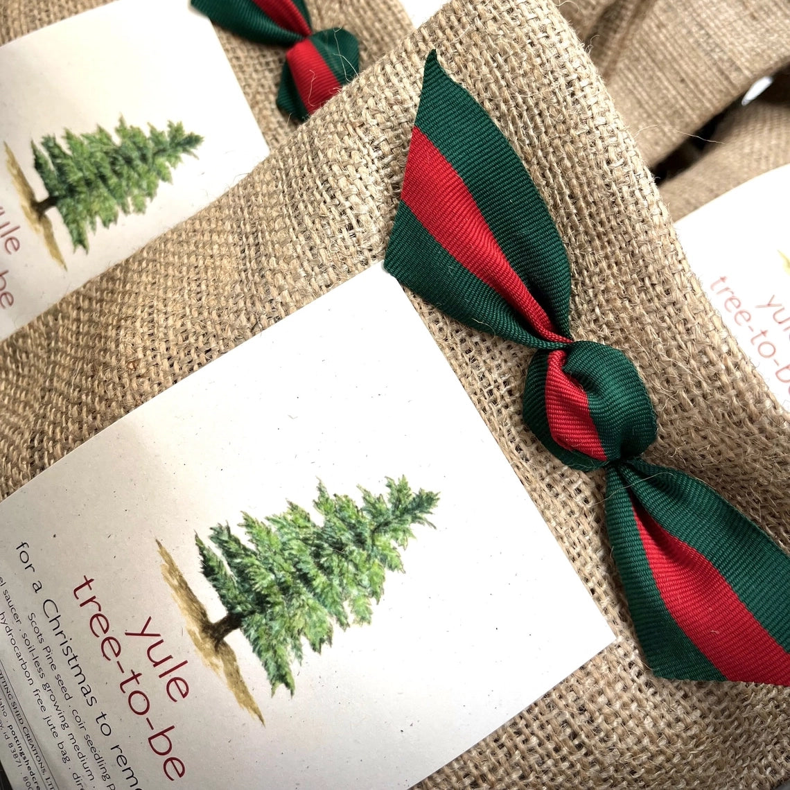 Christmas Tree to Be Potting Shed Creations, Ltd.