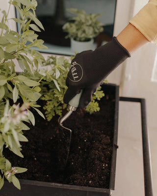 The Farmer's Daughter | Garden Tool Set