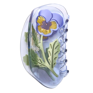 Viola Claw - Purple Pansy
