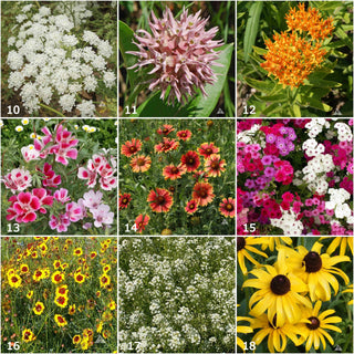 Garden Sprinkles | Butterfly Seed Mix Potting Shed Creations, Ltd.