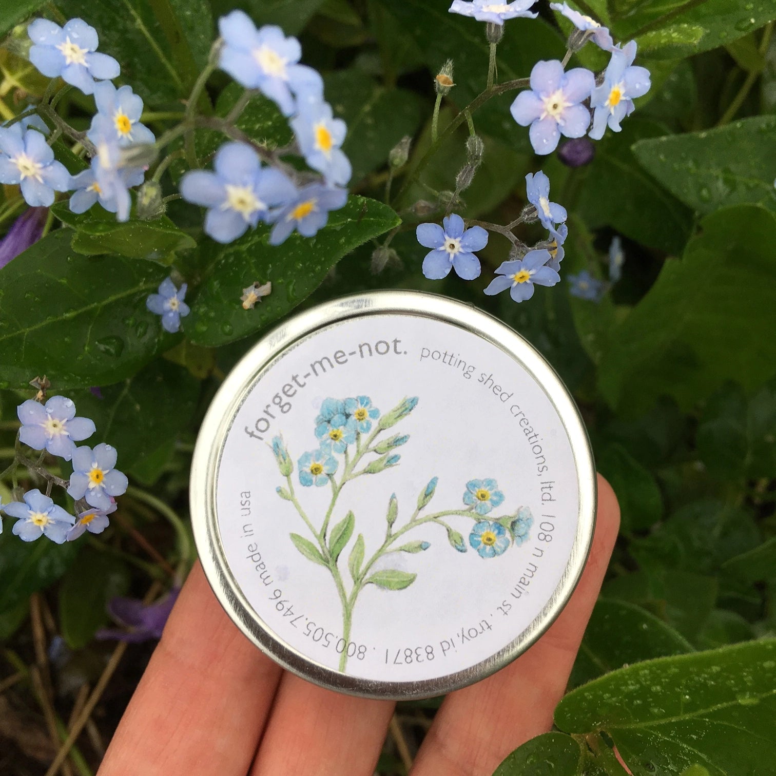Garden Sprinkles | Forget-Me-Not Potting Shed Creations, Ltd.