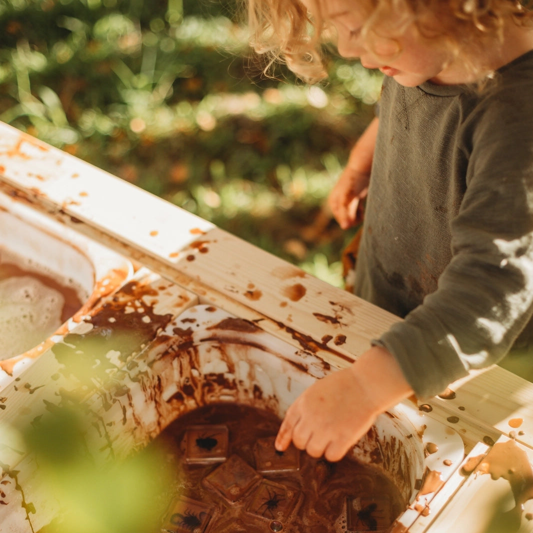 Creepy Crawlers Specimen Set Our Earth Life
