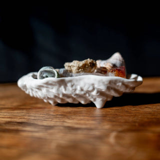 Puebco | Ceramic Shell Trinket Dish