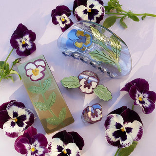 Viola Claw - Purple Pansy