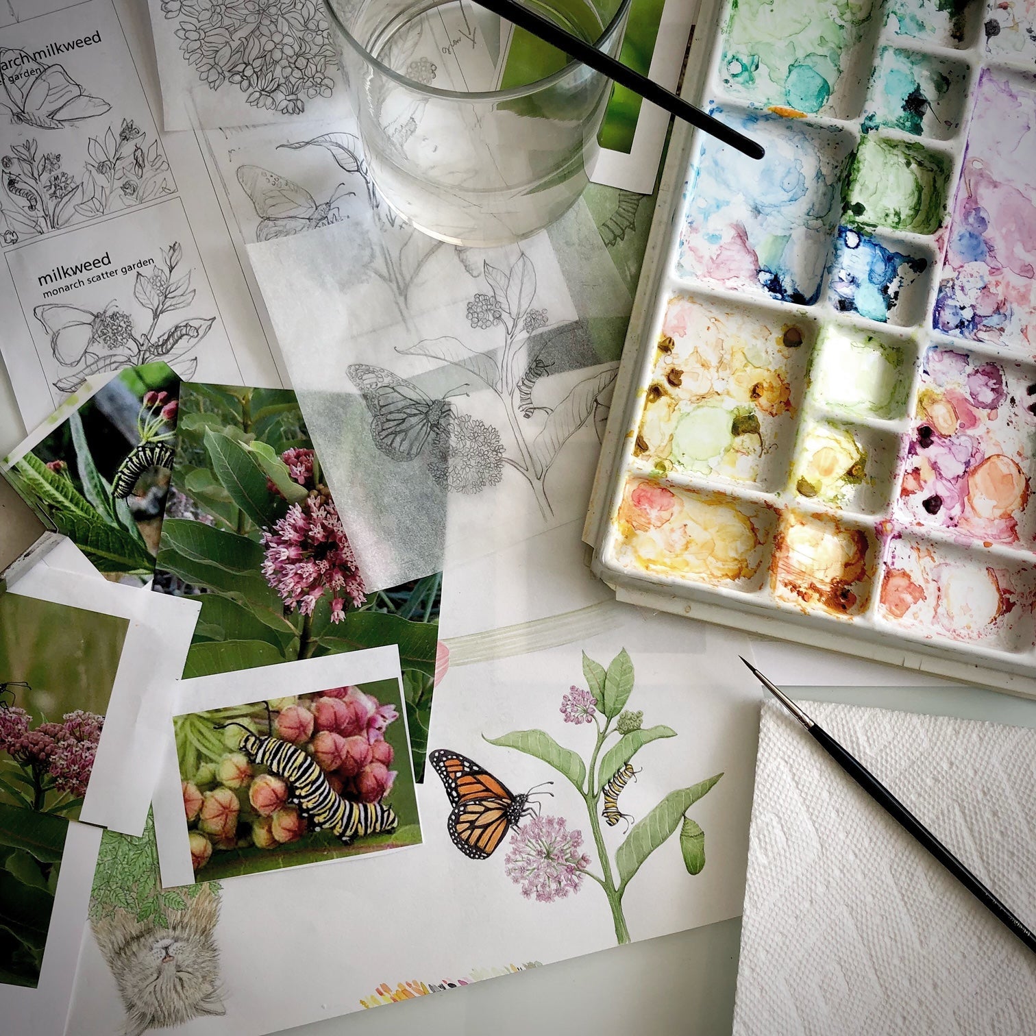 Garden Sprinkles | Monarch Milkweed Seed Mix Potting Shed Creations, Ltd.