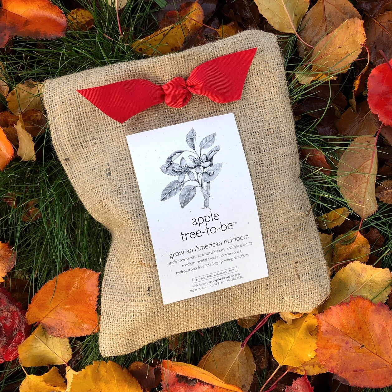 Apple Tree To Be Potting Shed Creations, Ltd.